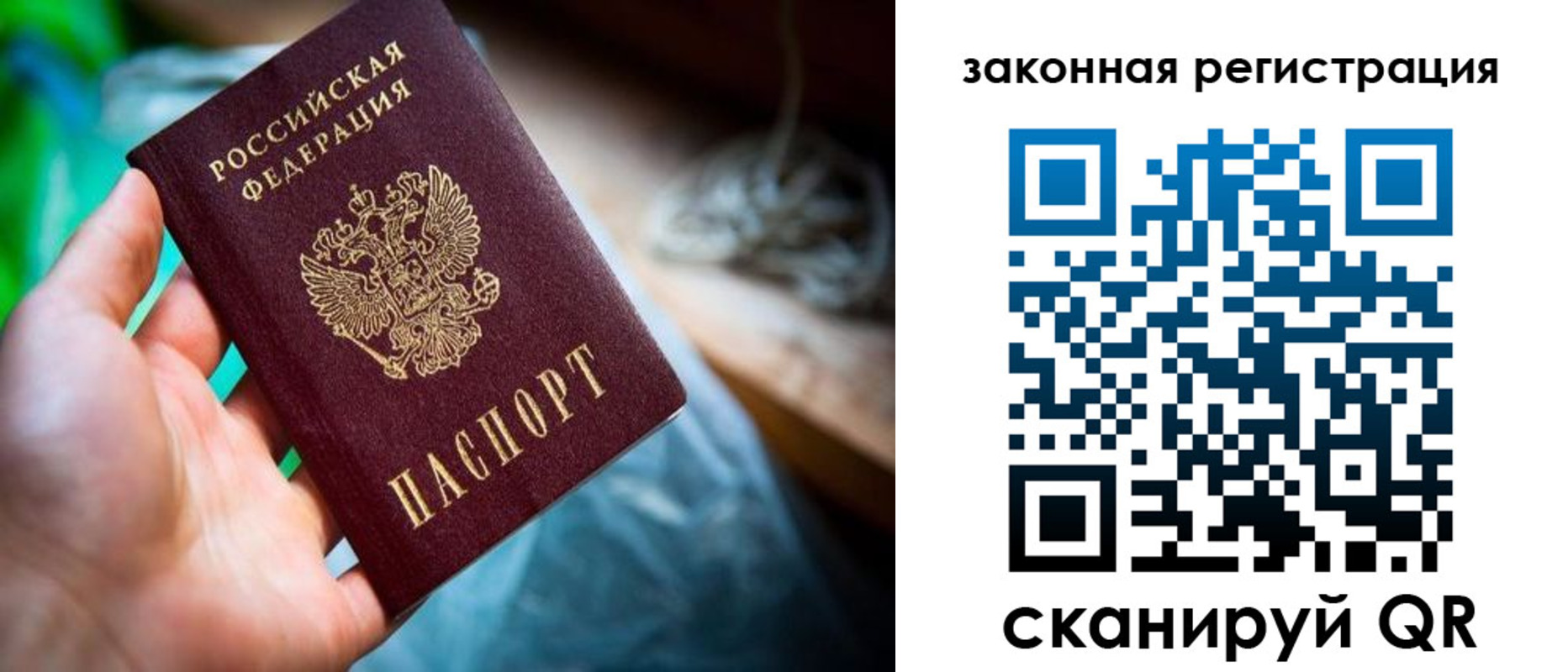 прописка в Зарайске